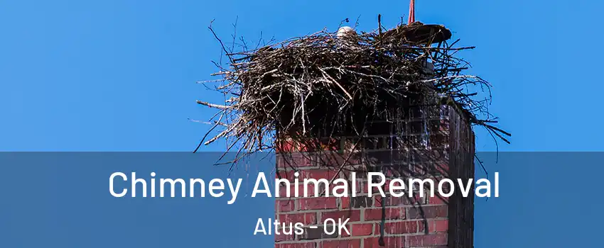  Chimney Animal Removal Altus - OK