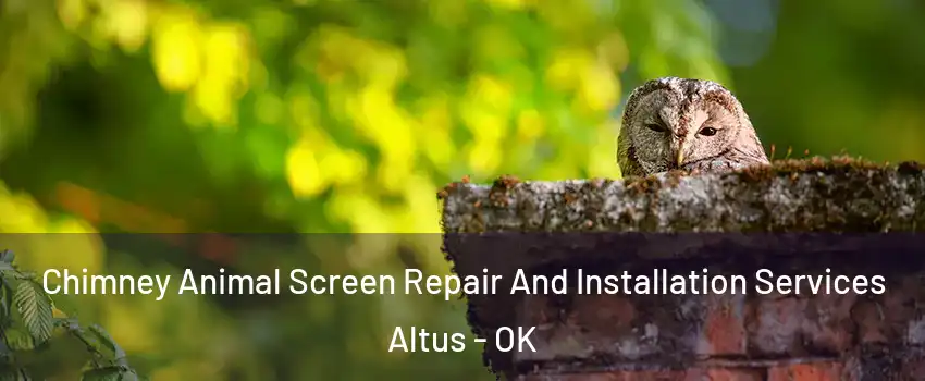  Chimney Animal Screen Repair And Installation Services Altus - OK
