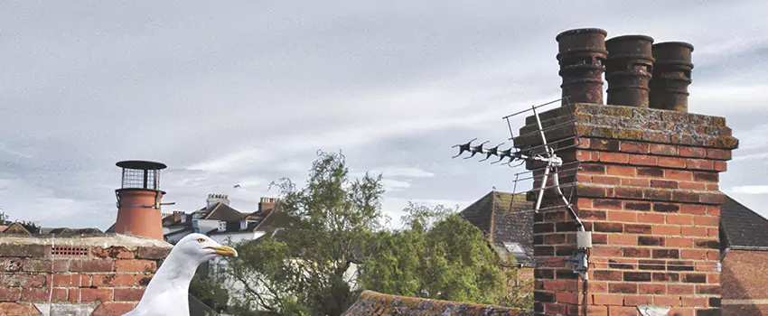 Chimney Cleaning And Restoration in Altus, Oklahoma